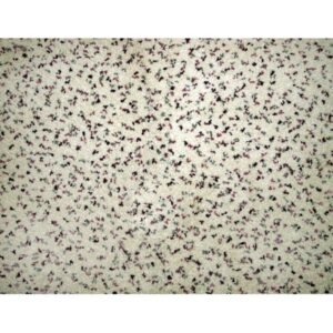 Alfombra Estilo liso varios colores DN1 - Imagen 4