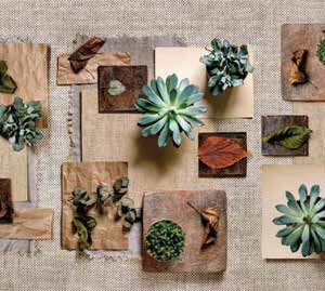 Alfombra Pasillo cocina antideslizante RUSTIC