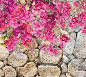 Alfombra Pasillo cocina antideslizante BOUGAINVILLE